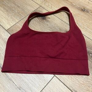Burgundy Fabletics Sports Bra Size Large